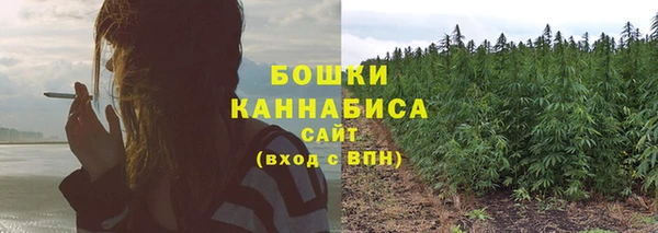 дмт Нязепетровск